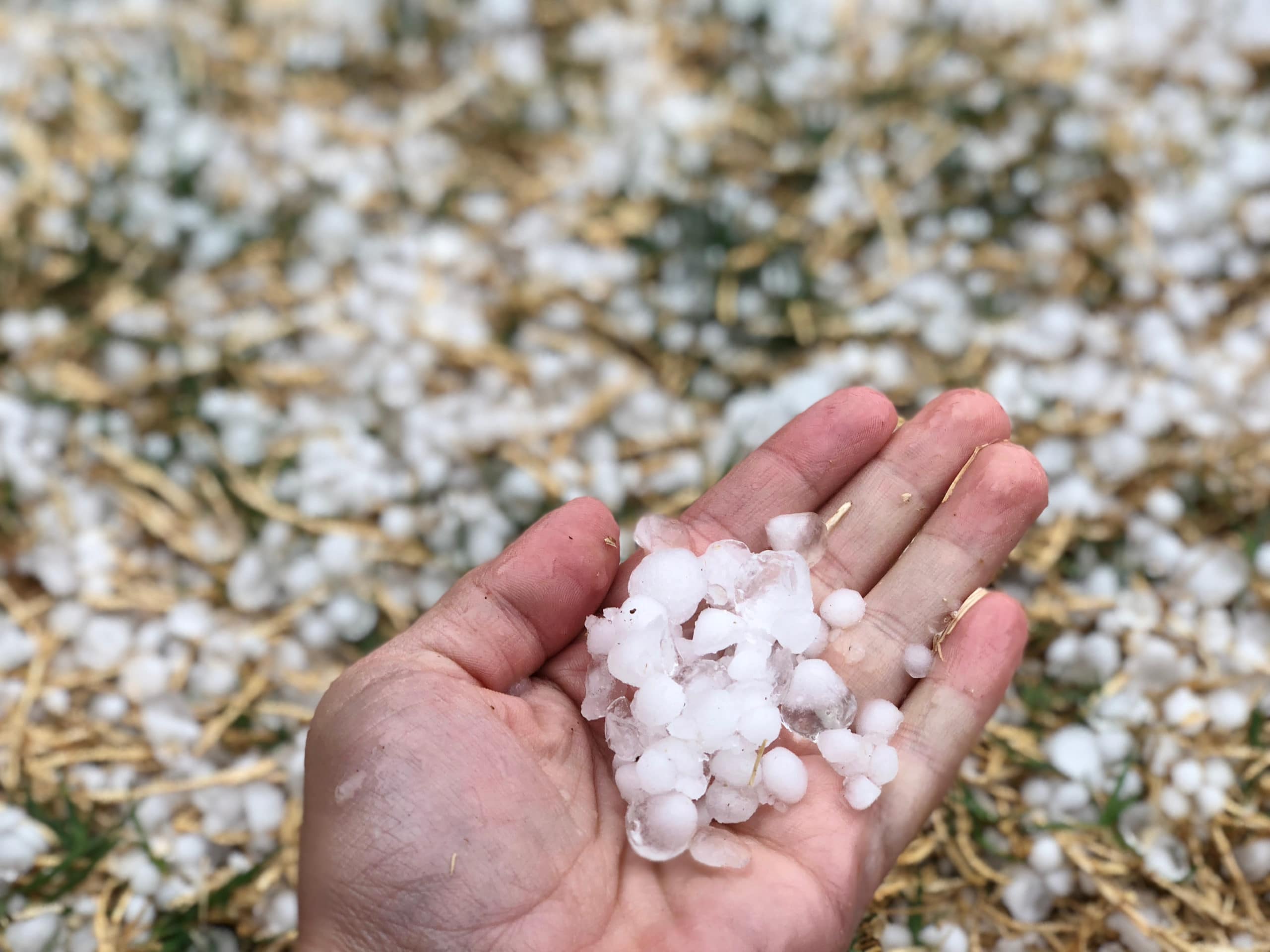 Radar tracking thunderstorms near Kaycee; Pennysized hail, gusts of